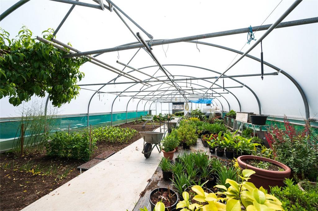 Polytunnel