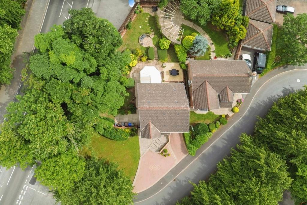 Dji 0229 1.jpg