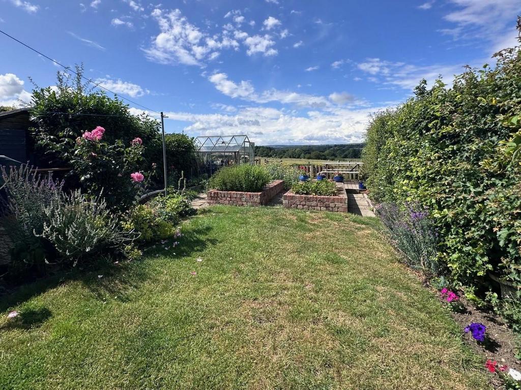Garden 2.jpg