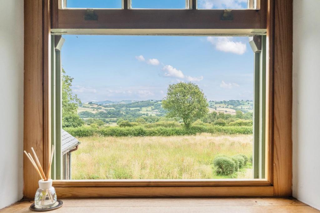 Window view.jpg