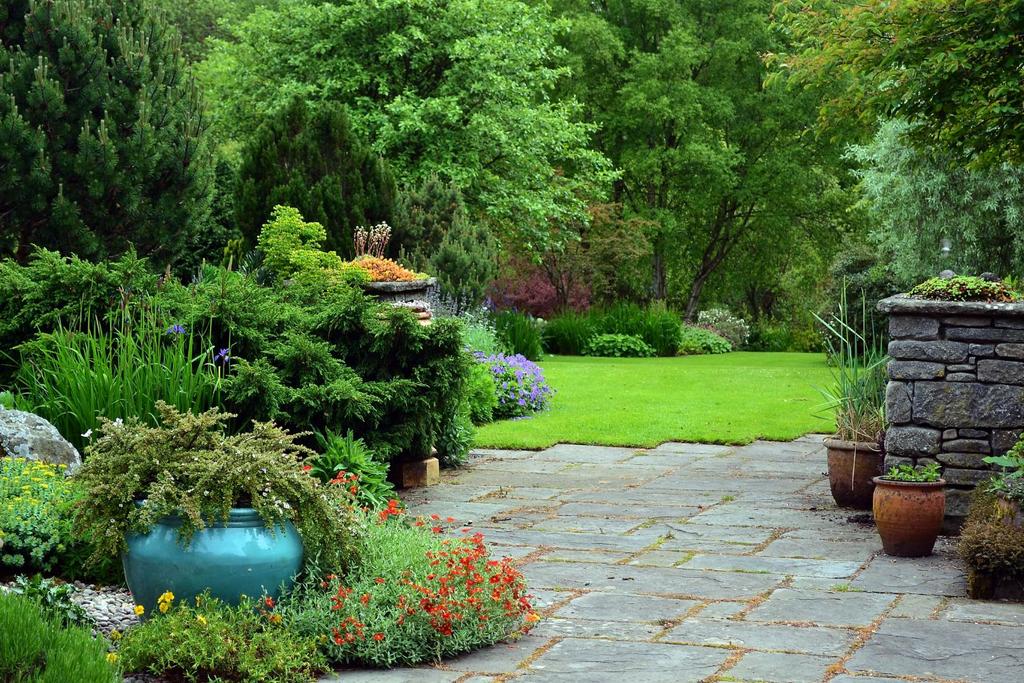 Garden 2015 49.JPG