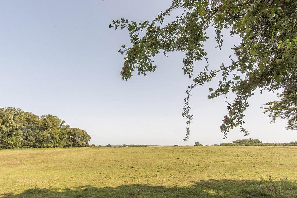 Country Views