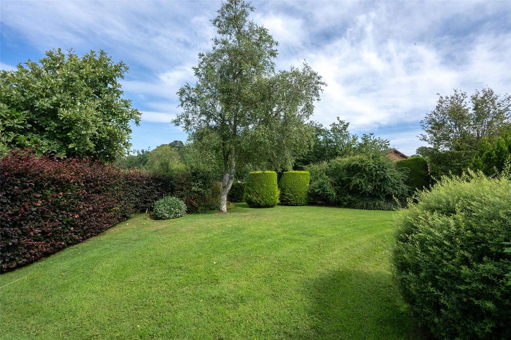 Grounds