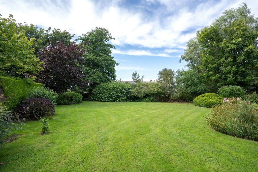 Grounds