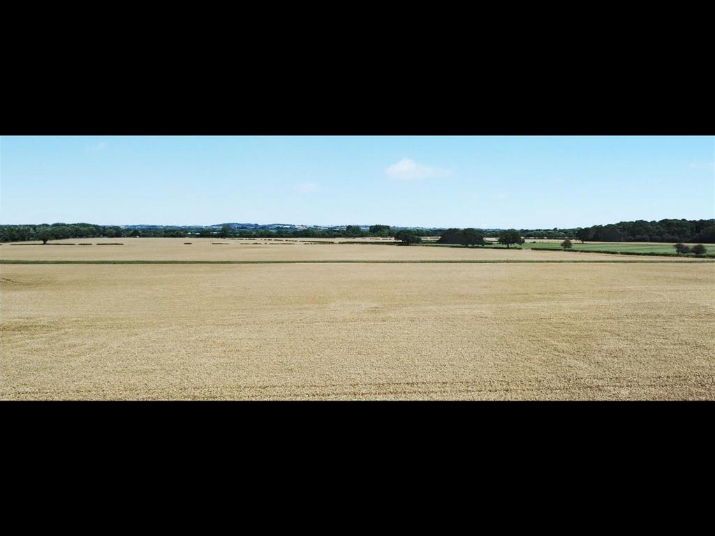 Drone 7.jpeg