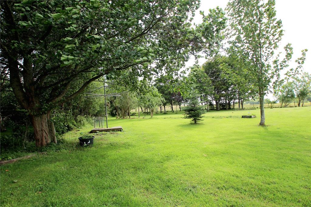 Picture No. 18