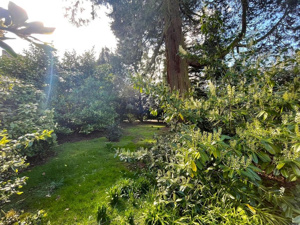 Hall Grounds