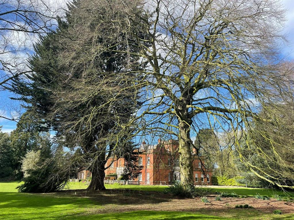Hall Grounds