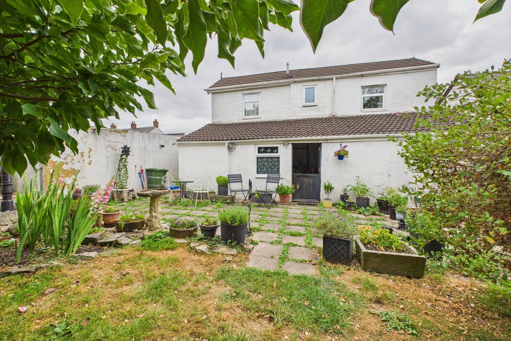 Back Garden
