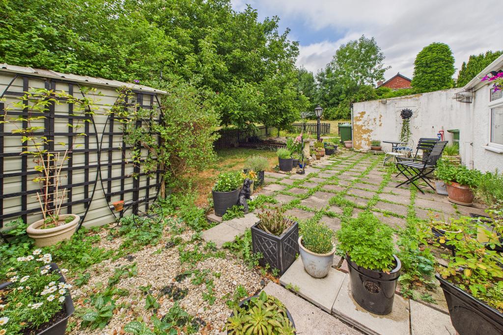 Back Garden