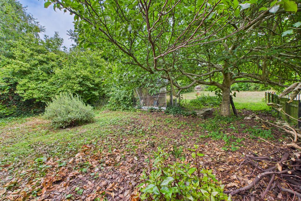 Back Garden