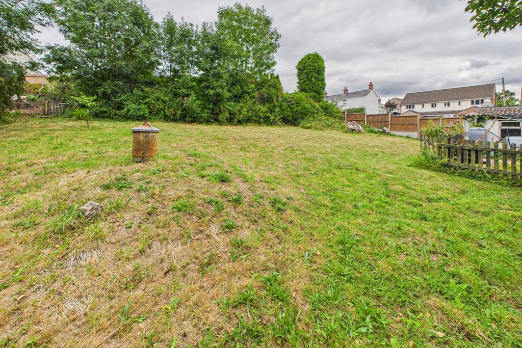 Back Garden