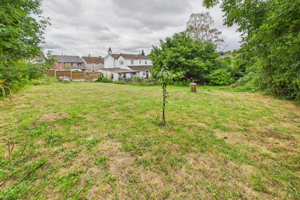 Back Garden