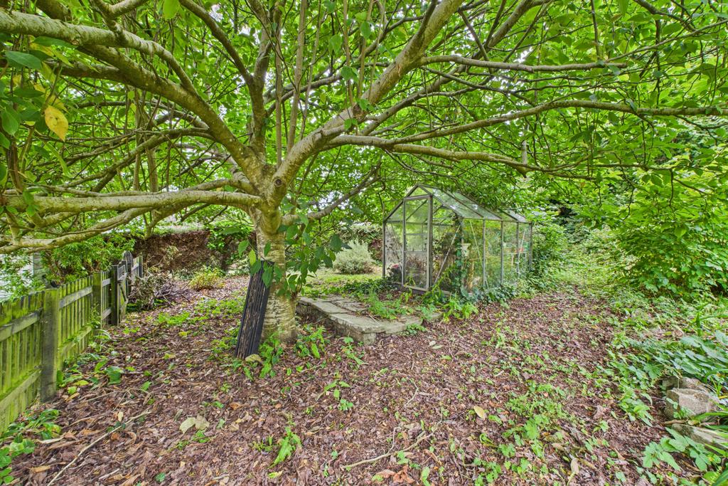 Back Garden