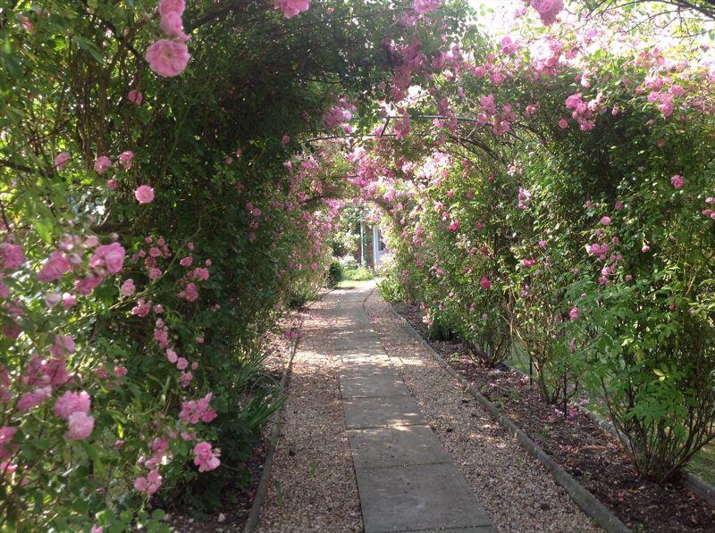 Rose Tunnel