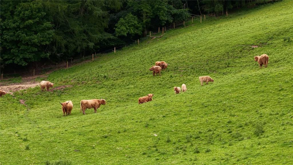 Blairmore Farm