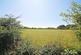 Additional image 18 of Heywood Lane, Wrea Green PR4
