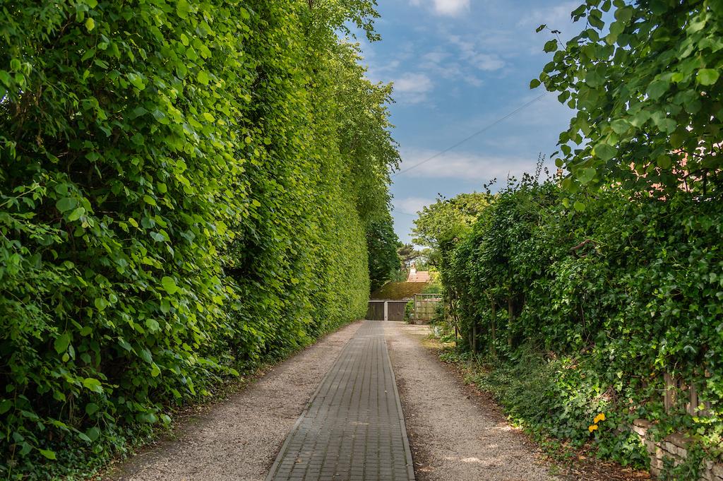 Property Image 41