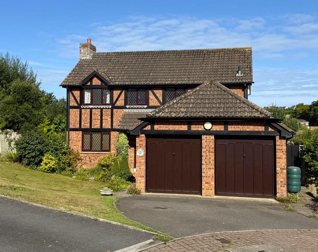 Tudor close.jpg