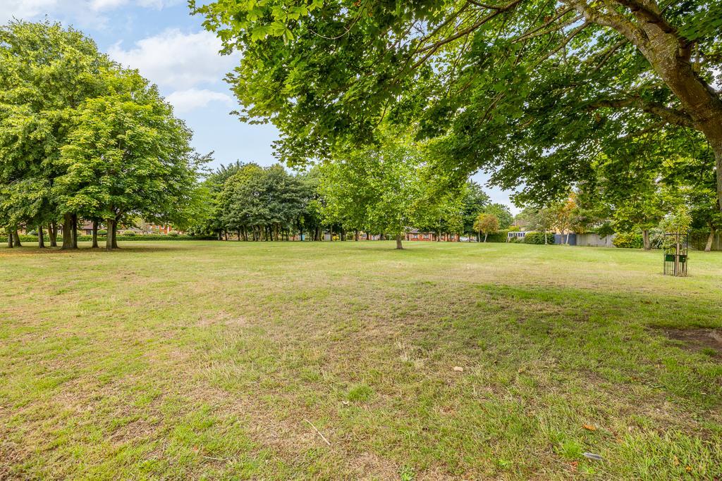 30 Leiden Fields (Spalding)-9.jpg