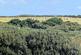 Additional image 18 of Little Trethewey Estate, Penzance TR19