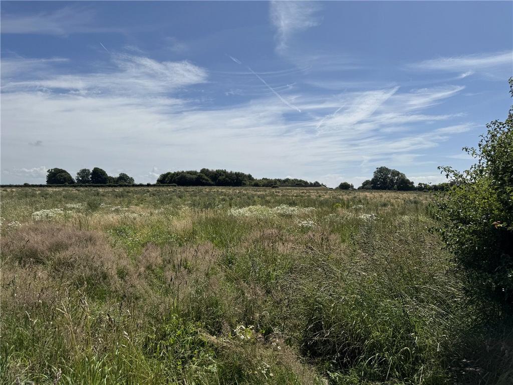 Cranberry Land