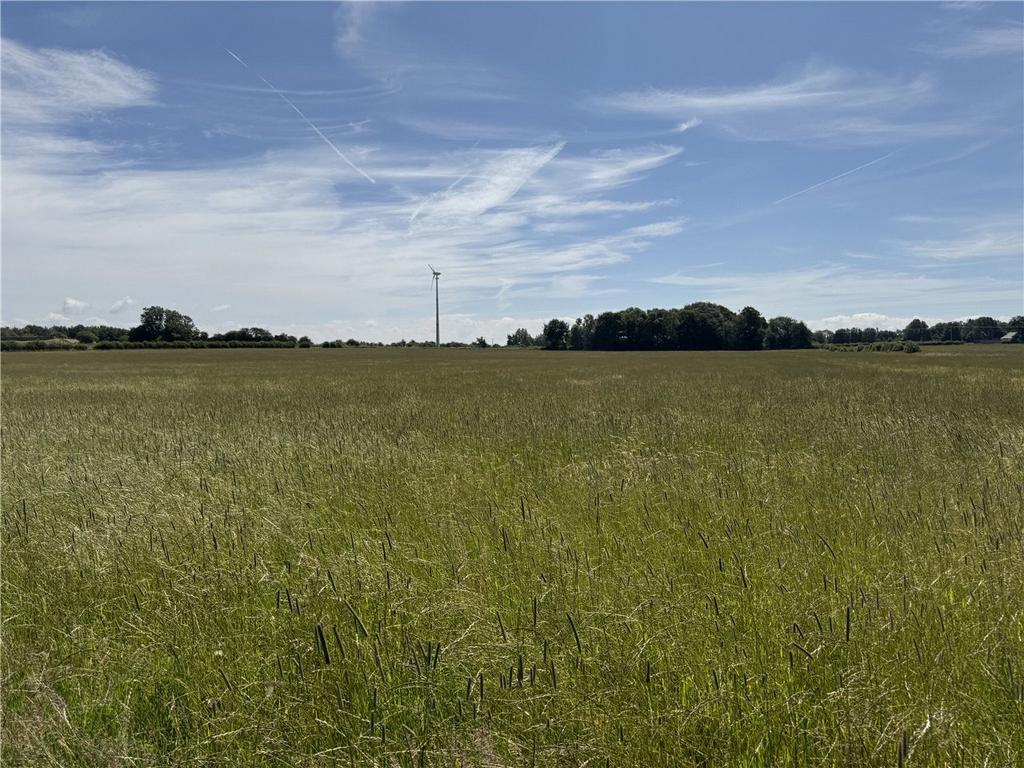 Cranberry Land
