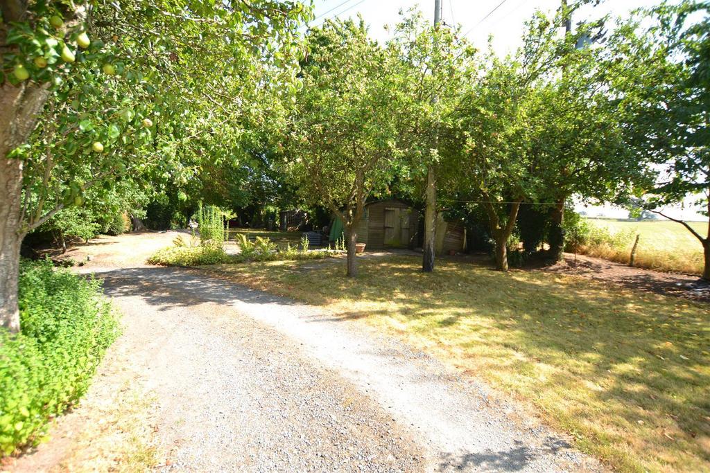 Garden 4.jpg