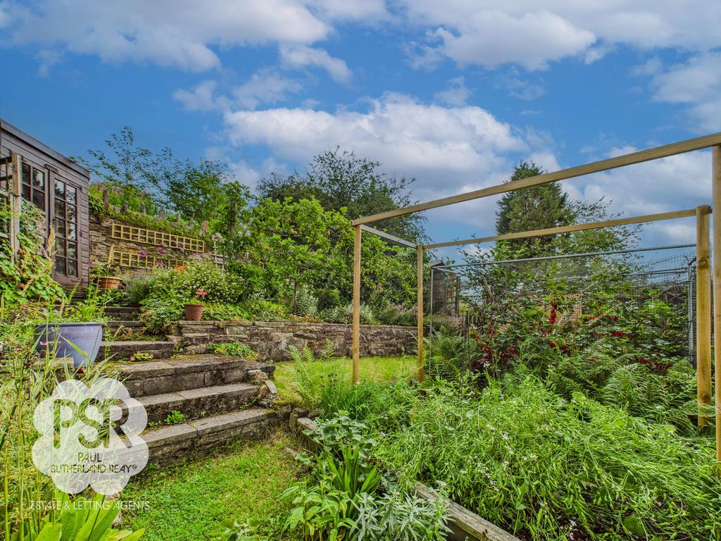 Allotment Growing Patch