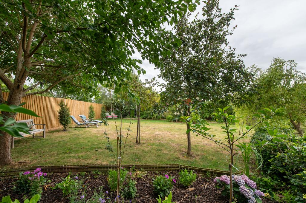 Lawned Area