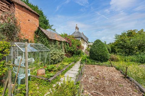 undefined, Neopardy, Crediton, Devon, EX17
