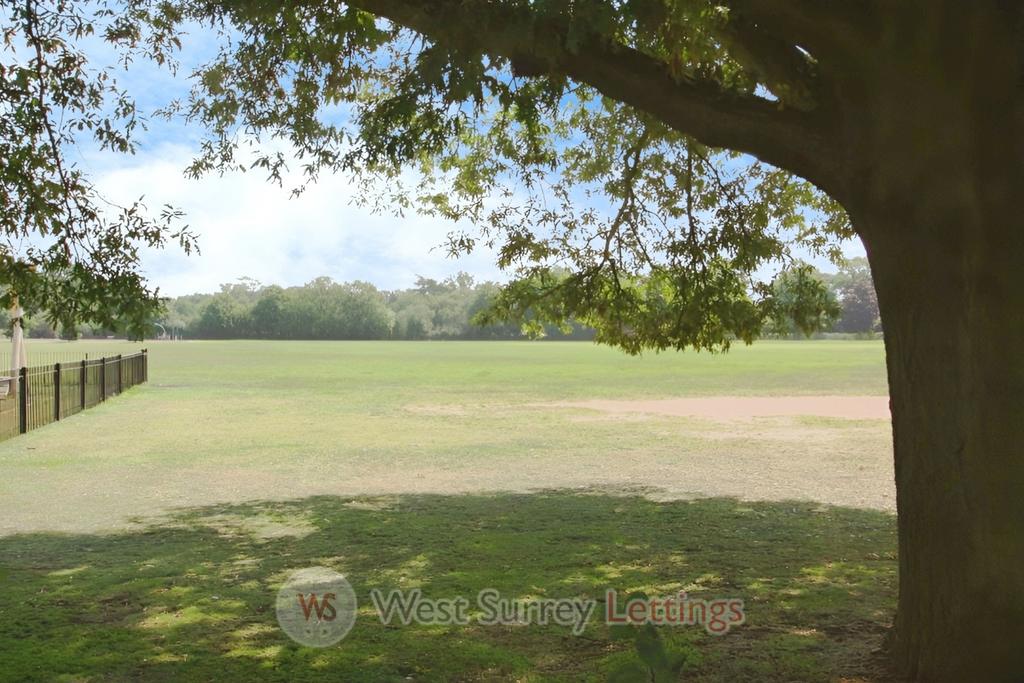 Bb441309-PARK 20- 20 CLEAR lge