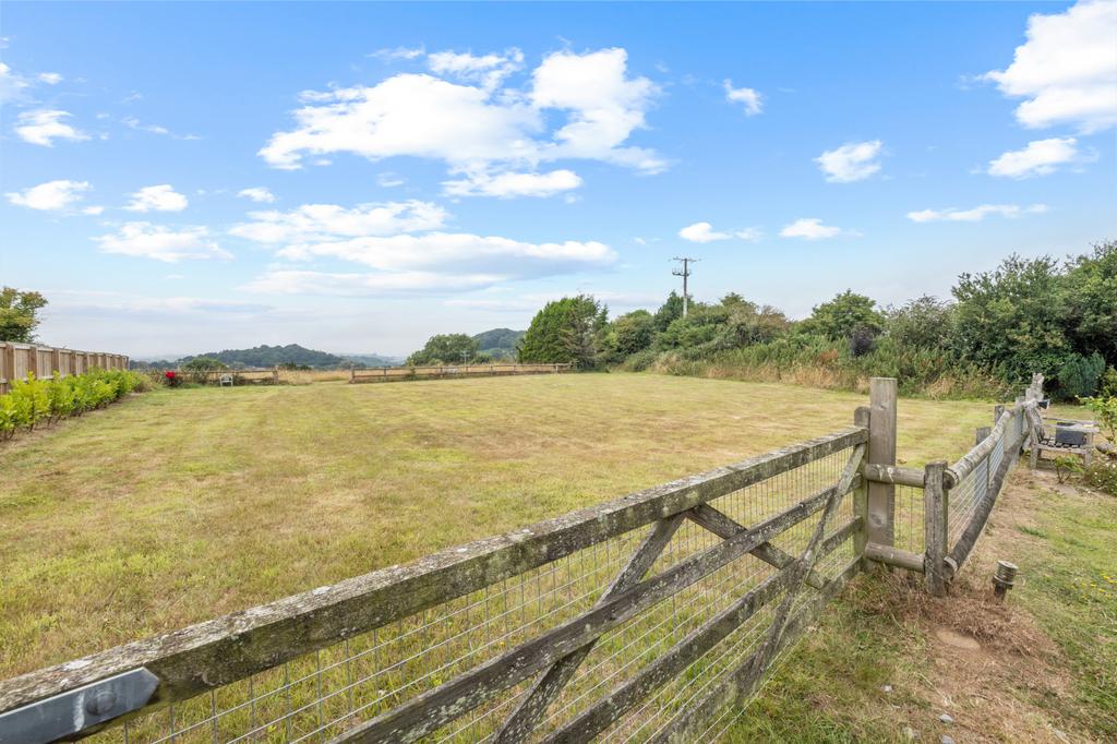 Field View
