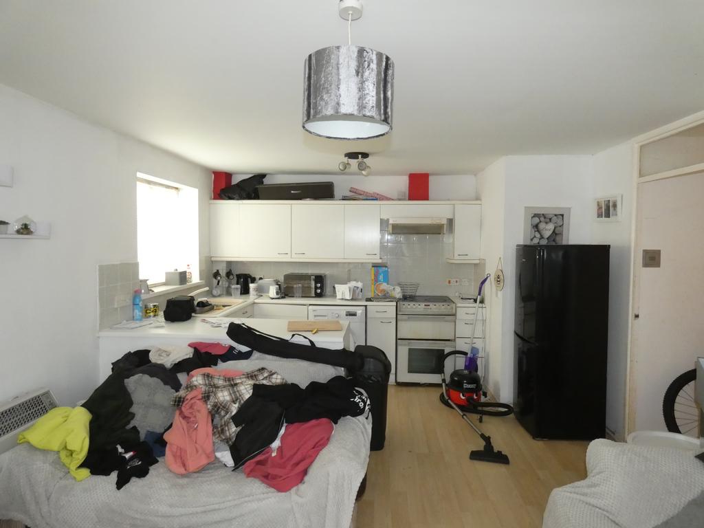 Living Room / Kitchen