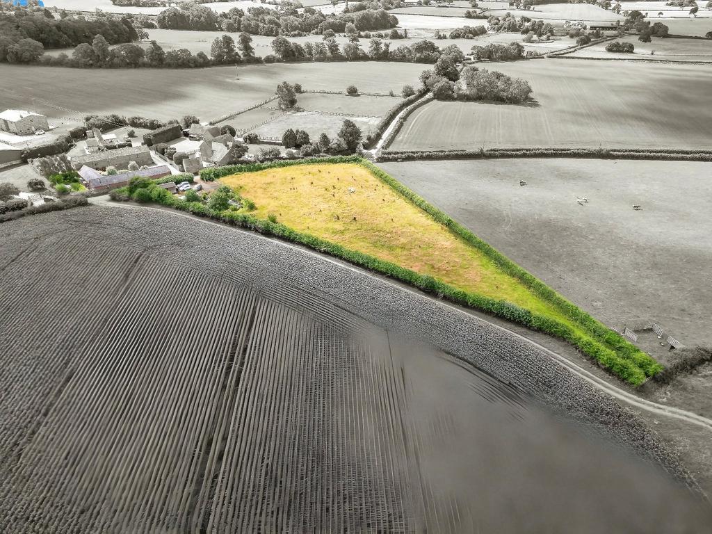 Land