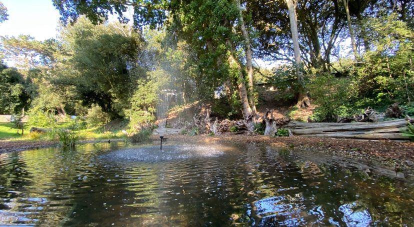 274996831 692151882098959 7477458513848916471 N.jp