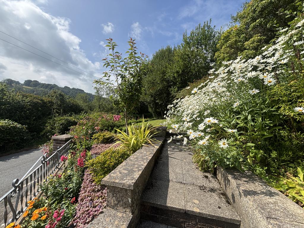 Garden (second image)