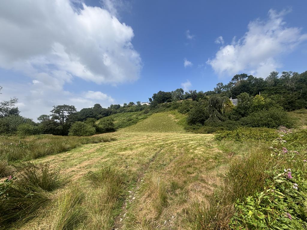 Land (second image)