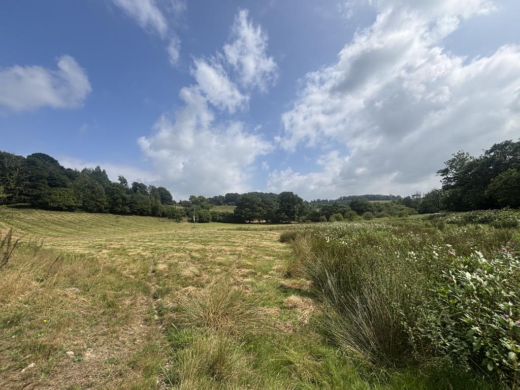 Land (third image)