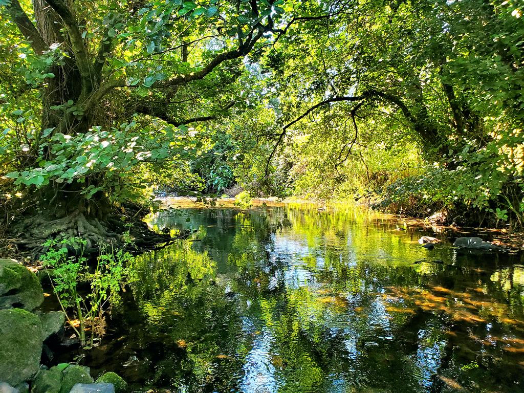 Stream boundary