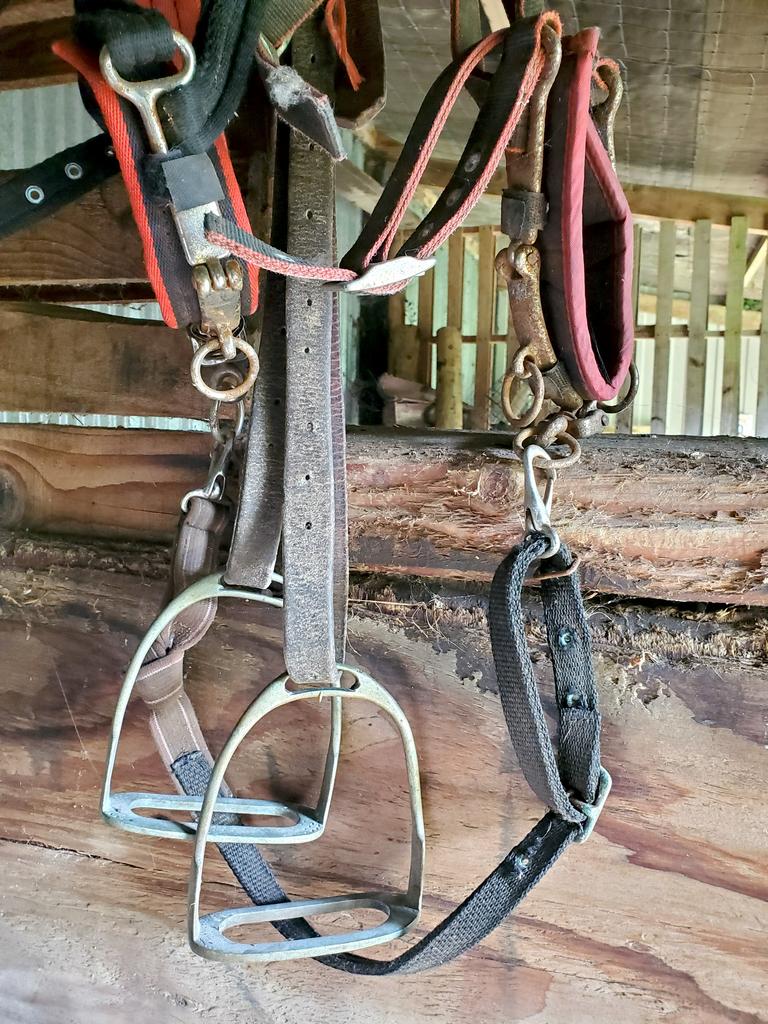 Stables