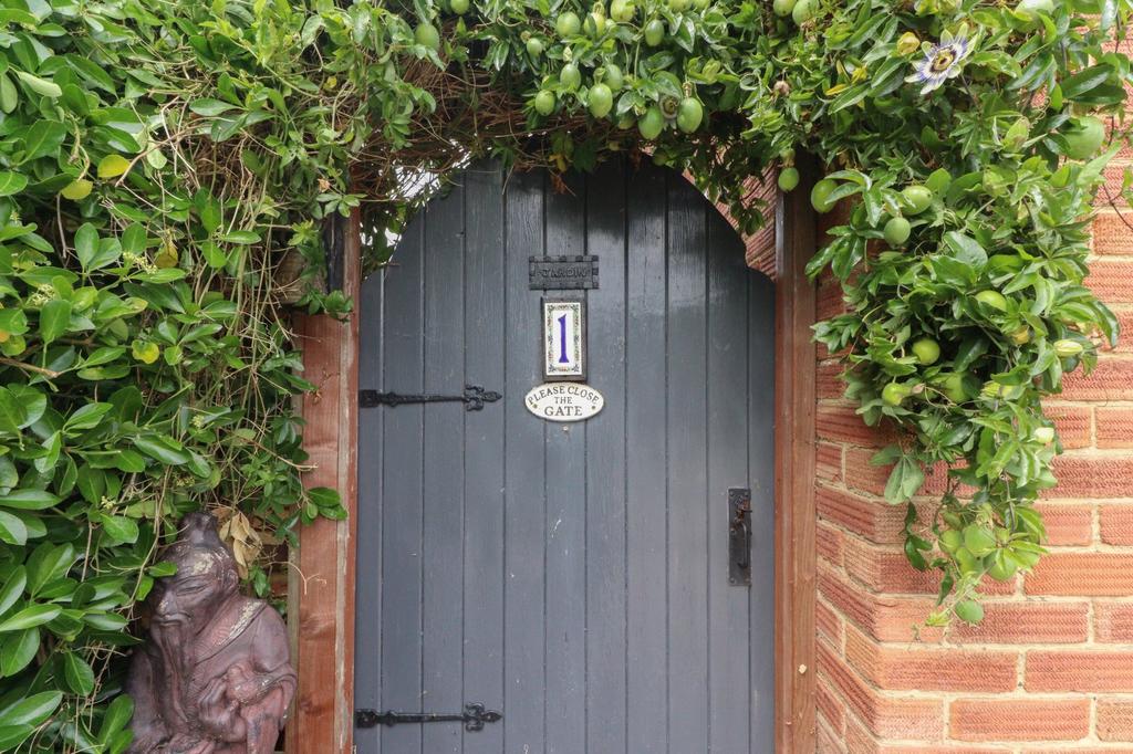 Picture 19
