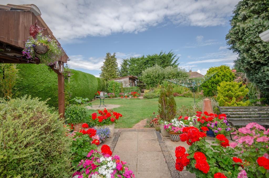 Rear garden.jpg