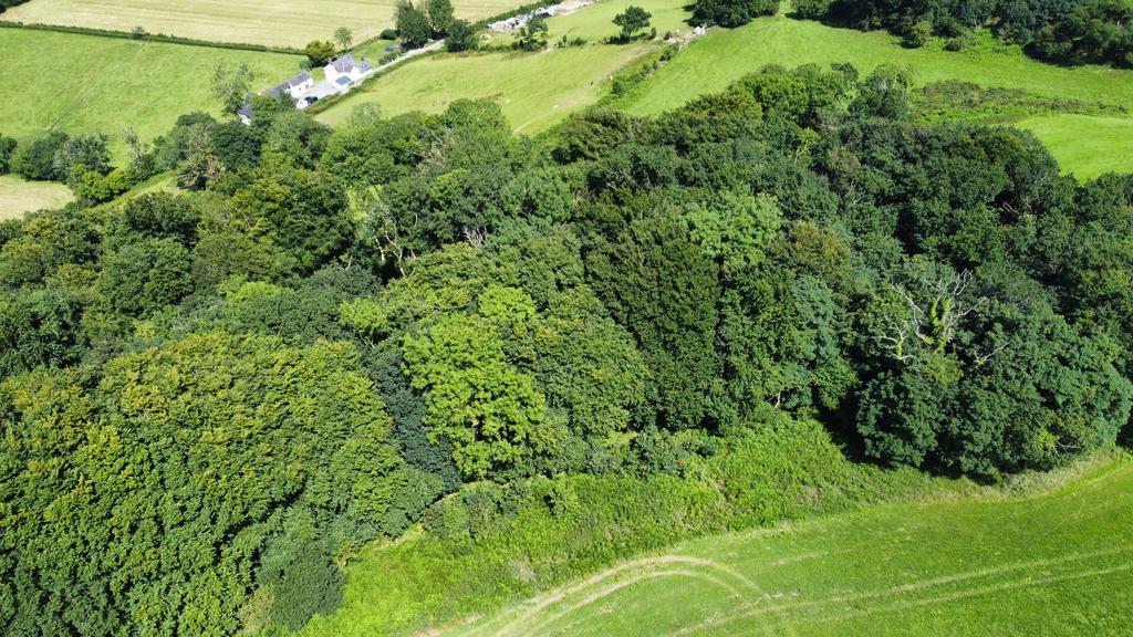 Woodland