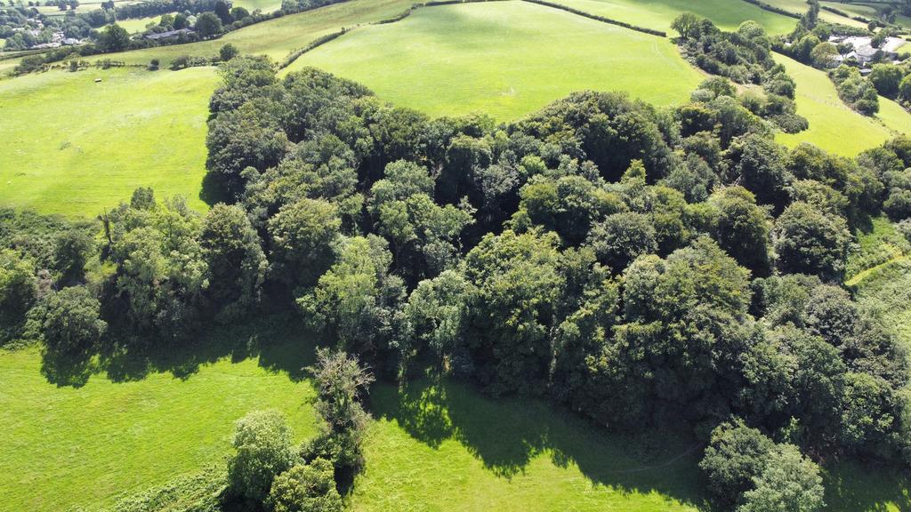 Woodland