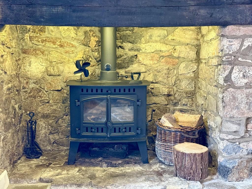 Fireplace with Woodburner