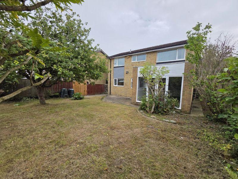 Rear Elevation