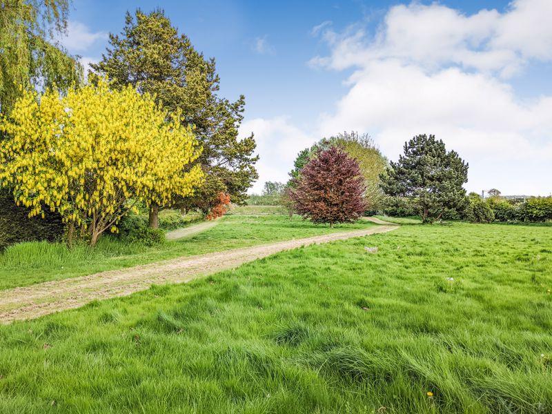 Paddock Spring Time
