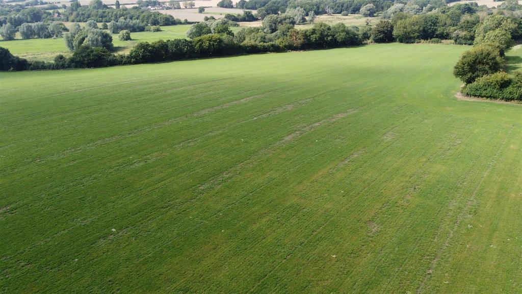 Dji 0059.jpg