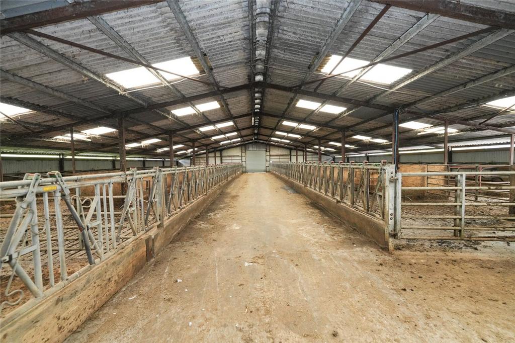 Cubicle Shed